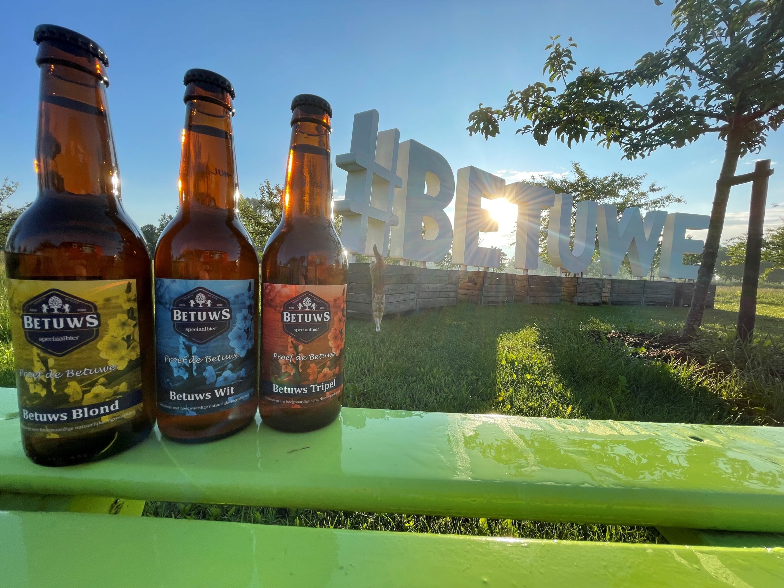 Betuws bier