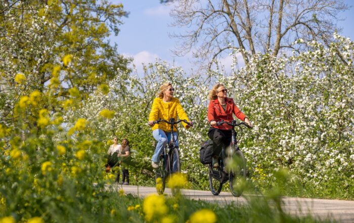 bloesem fietsen