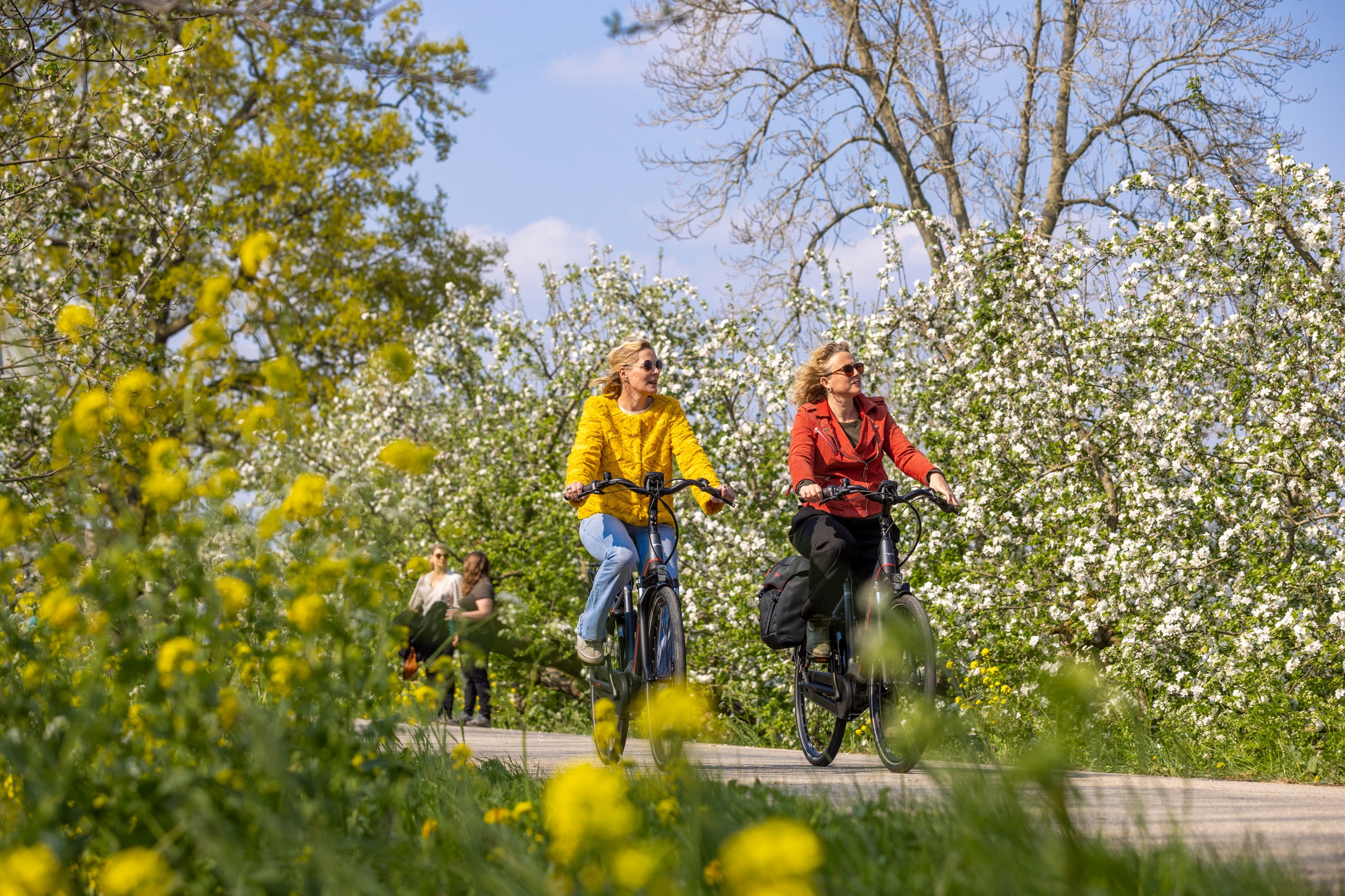 bloesem fietsen